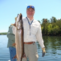 John Nordin 42-in Pike